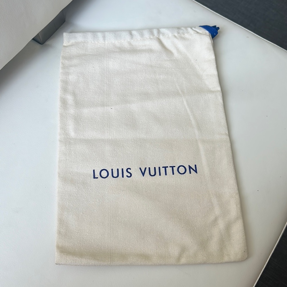 Louis Vuitton bag cover